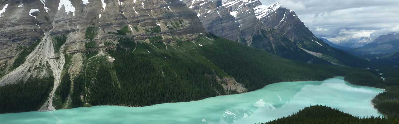 Lake Peyto