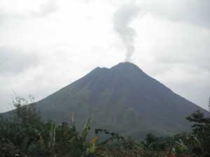image-name arenal