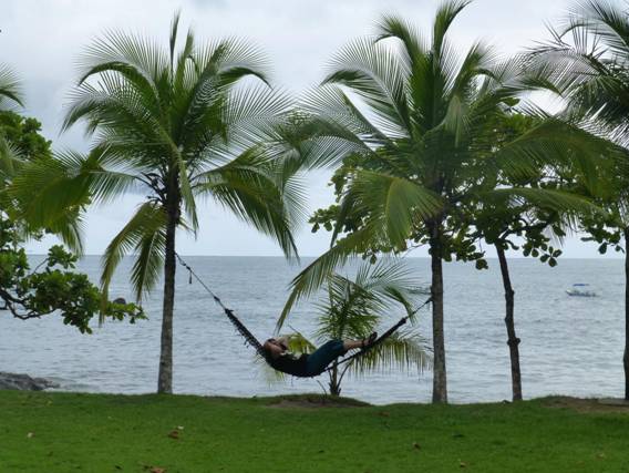 pura vida