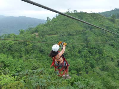 canopy