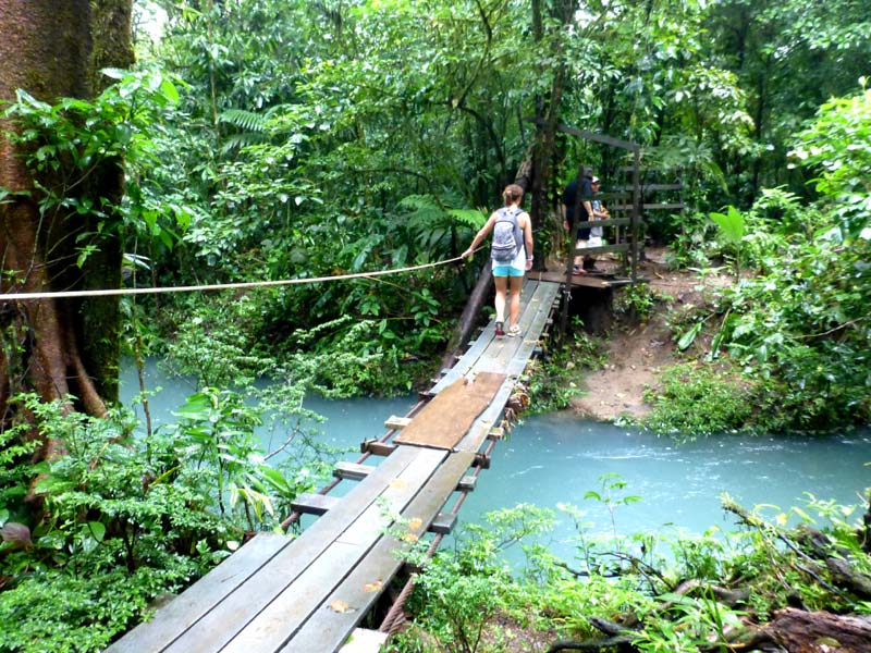 hanging bridge