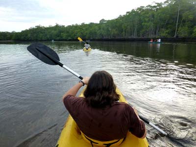 kayak