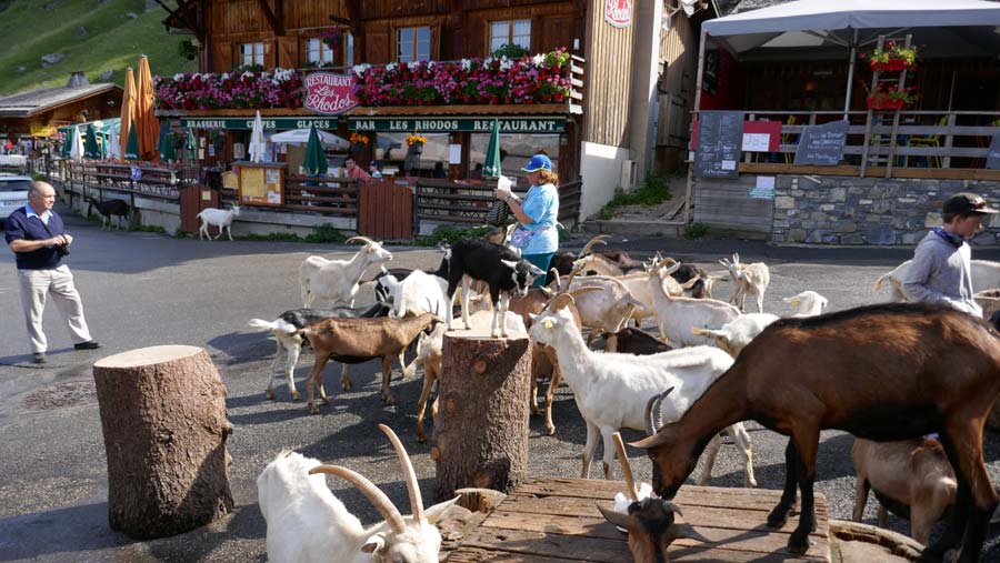 עיירת העיזים Les Lindarets