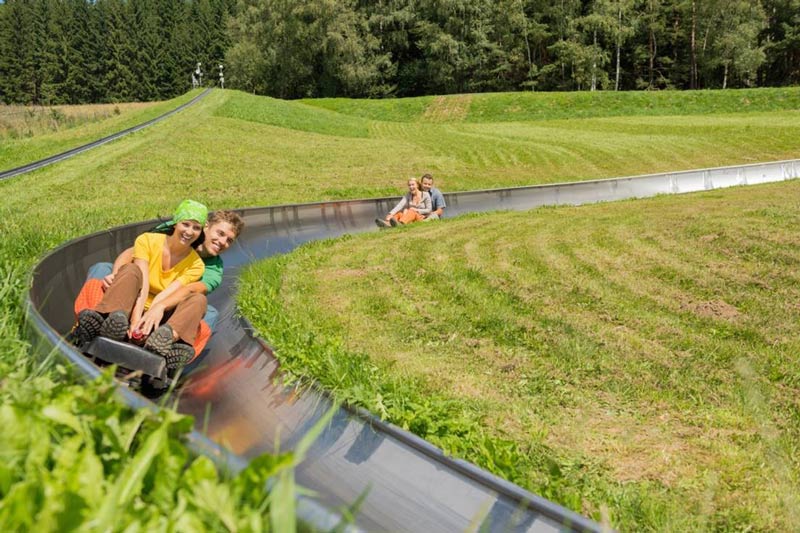 מגלשה אלפינית