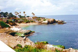 La jolla