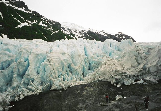 walking trail to a glacier  at alaska