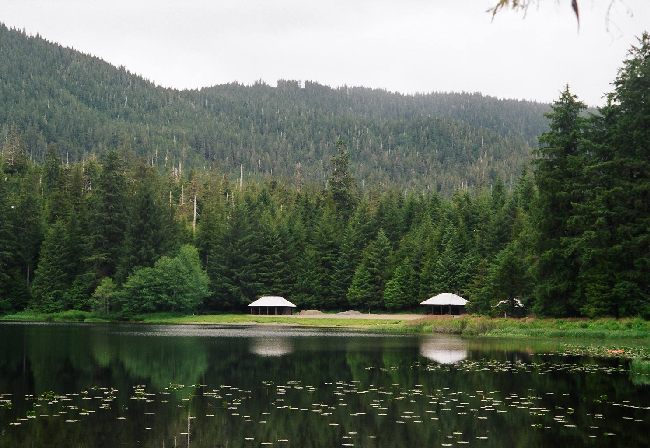 ketchikan area forest