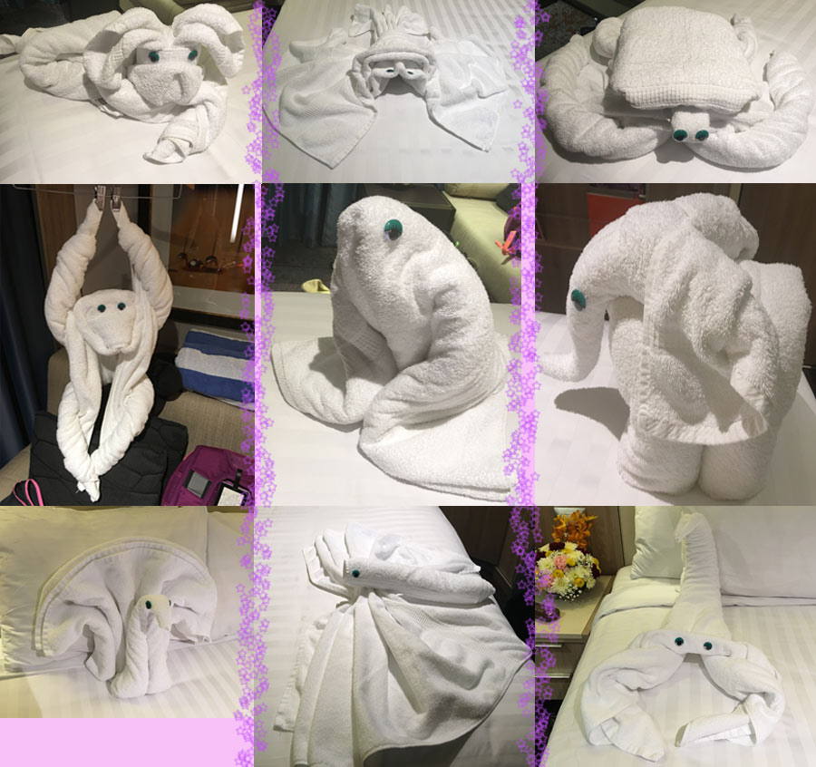 חיות ממגבות