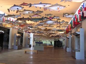 מוזיאון הדייג