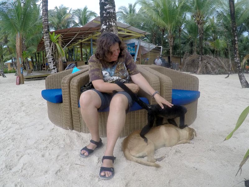 קופה משחקת עם כלב ואורחת במלון