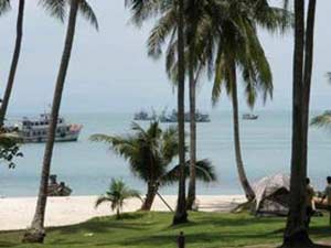kohsamui